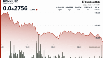 BONK Sinks 12% as Meme Token Sector Faces Heavy Sell-Off